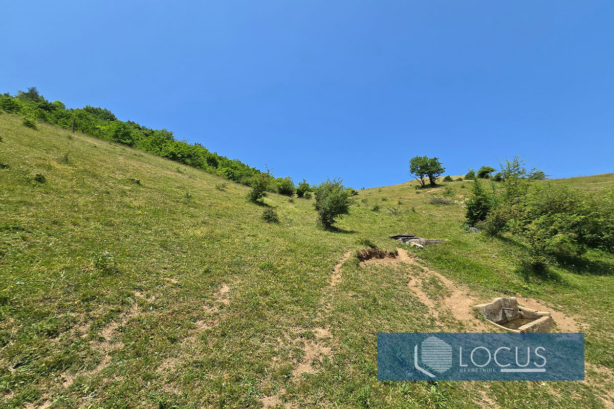5. Parcela.jpg